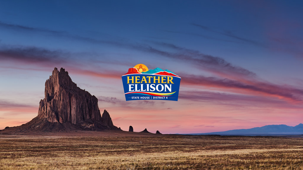 Heather Ellison for State House District 4